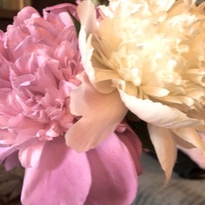 Meet your Posher, Dawn